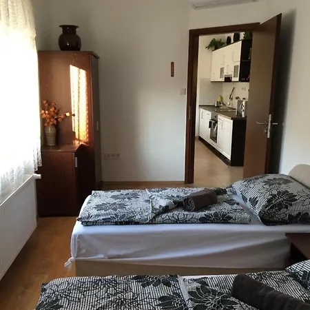 Guest house Vadrozsa Vendeghaz