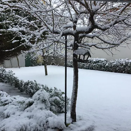 Vadrozsa Vendeghaz * Siófok