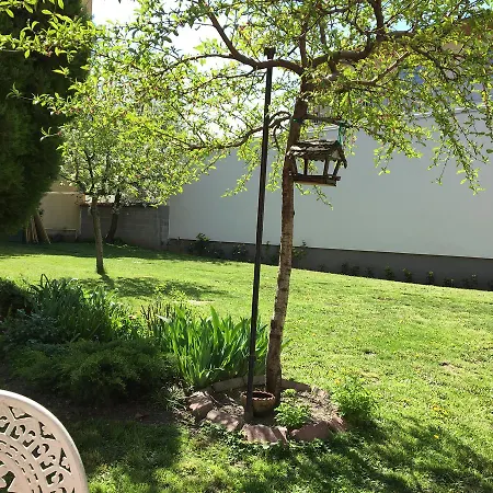 Penzion Vadrozsa Vendeghaz Siófok