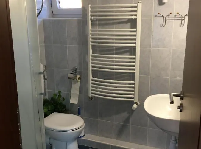 Vadrozsa Vendeghaz * シオーフォク