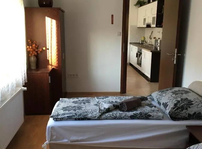 ゲストハウス Vadrozsa Vendeghaz