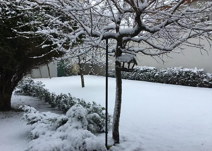 Vadrozsa Vendeghaz * 시오포크