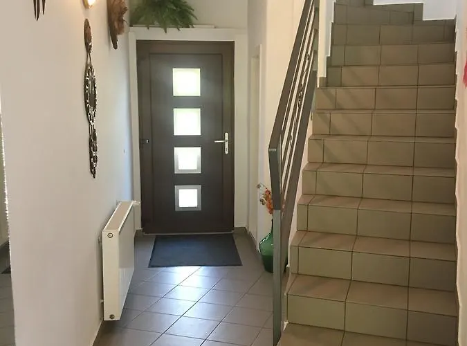 Vadrozsa Vendeghaz *