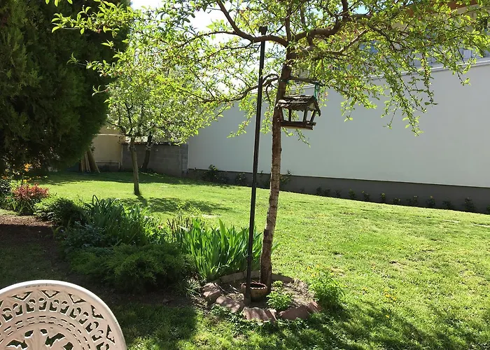 ゲストハウス Vadrozsa Vendeghaz シオーフォク